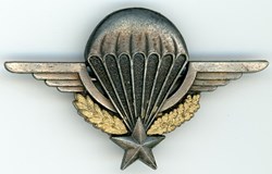 Brevet parachutiste