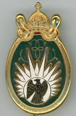 Insigne Parachutistes - 13° Régiment de Dragons Parachutistes