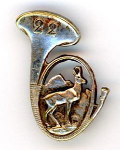 Insigne du 22° Bataillon de Chasseurs Alpins