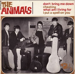 The Animals ‎–  Don't bring me down