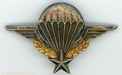 Brevet parachutiste