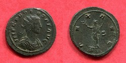 PROBUS - PAX AVG - RIC 706