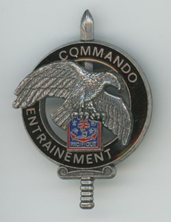 Insigne - Commando - FANC - Nouméa