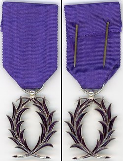 Médaille de l'Ordre des Palmes Académiques - Chevalier