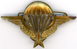 Brevet parachutiste