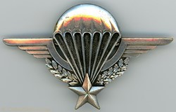 Brevet parachutiste