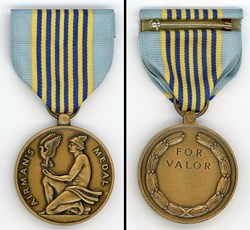 Airman's Medal - USA