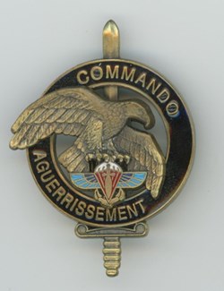 Insigne - Commando - 2° RPIMa
