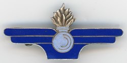 Insigne Terre - Insigne Général du Matériel