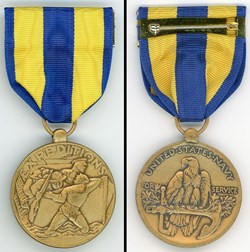 Navy Expeditonary Medal - USA