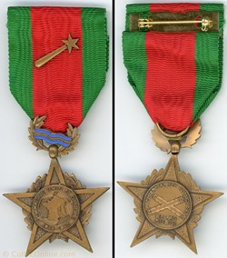 Médaille commémorative Rhin et Danube