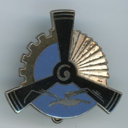 Insigne Aviation - Escadron avion 3/317 de l'école technique de l'Armée de l'air - Rochefort-sur-Mer