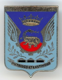 Insigne Aviation - Base Aérienne 273 - Romorantin