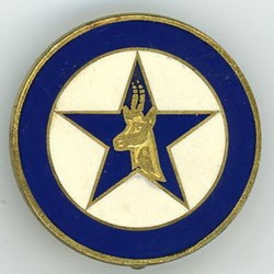 Insigne Légion Etrangère - 4° Régiment Etranger - C.I.S