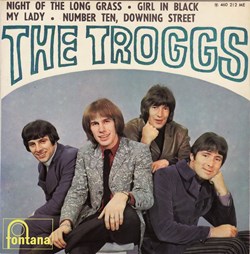 The Troggs - Night of the long grass