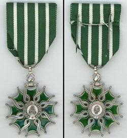 Médaille de l'Ordre des Arts et des Lettres - Chevalier