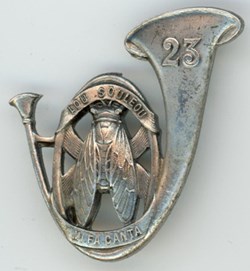 Insigne du 23° Bataillon de Chasseurs Alpins