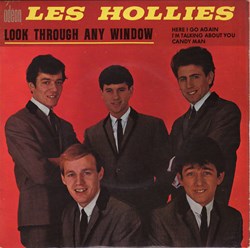 The Hollies - Look Through Any Window