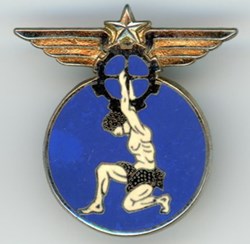 Insigne Aviation - Entrepôt de l'Armée de l'air 603 Limoges