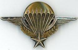 Brevet parachutiste