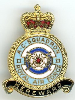 Insigne R.A.F - 2° Squadron (II)