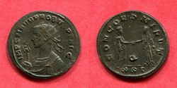 PROBUS - CONCORD MILIT - RIC 650