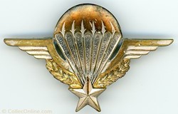 Brevet parachutiste