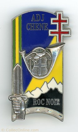 Insigne ENSOA - 163° Promotion Chêne Constant
