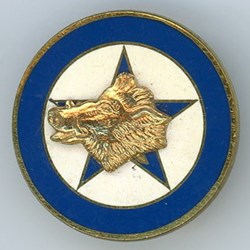 Insigne Légion Etrangère - 4° Régiment Etranger - C.I.C