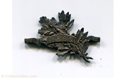 Barrette 1895