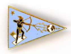 Insigne Aviation - Escadron de guerre électronique 30/813 - Fribourg (Allemagne)