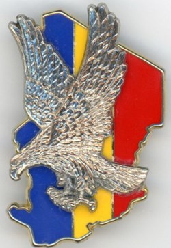 Insigne Opération Epervier