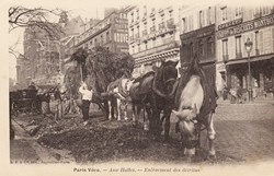 Collection Paris Vécu - N°038