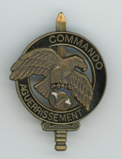 Insigne - Commando - 1° Choc