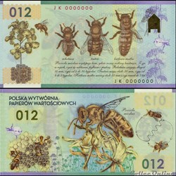 POLOGNE - ESSAI