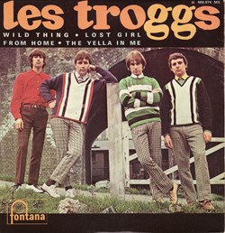 The Troggs - Wild thing