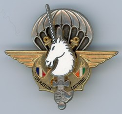 Insigne Opération Licorne