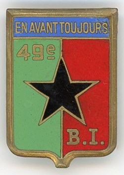 Insigne Terre - 49° Batallion d'Infanterie - France