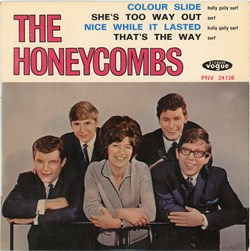 The Honeycombs– Colour slide