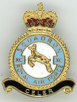 Insigne R.A.F - 90° Squadron