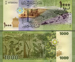 SYRIE - PICK 116 - 1000 LIVRES SYRIENNES - 2013