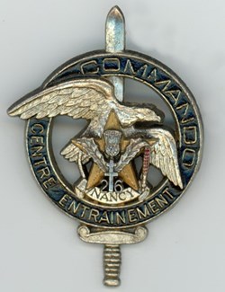 Insigne - Commando - N° 26° R.I - Pont Saint Vincent Fort Pelissier