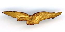 Insigne Aviation - Insigne de Calot