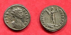 PROBUS - IOVI CONS PROB AVG - RIC 175