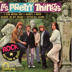 The Pretty Things - I can never say