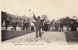 Collection Paris Vécu - N°029