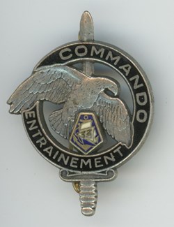 Insigne - Commando - 33° RIMa - Fort de France