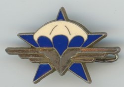 Insigne Parachutistes- 1° Régiment de Chasseurs Parachutistes - France
