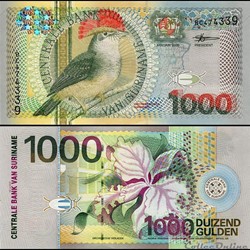 SURINAME - PICK 151 - 1000 GULDEN - 2000