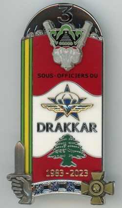 Insigne ENSOA - 364° Promotion Sous officiers du Drakkar 3° Bataillon